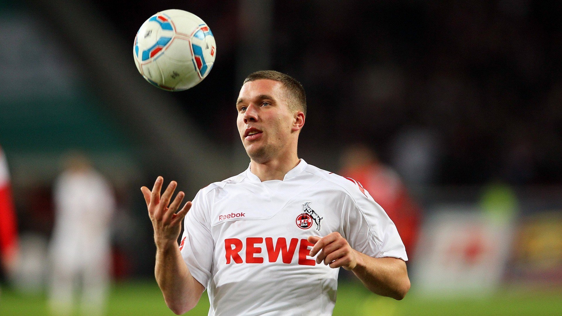 哈利伯顿魔法撕裂铁血防线，当森林狼的利齿遇上辽宁的坚盾