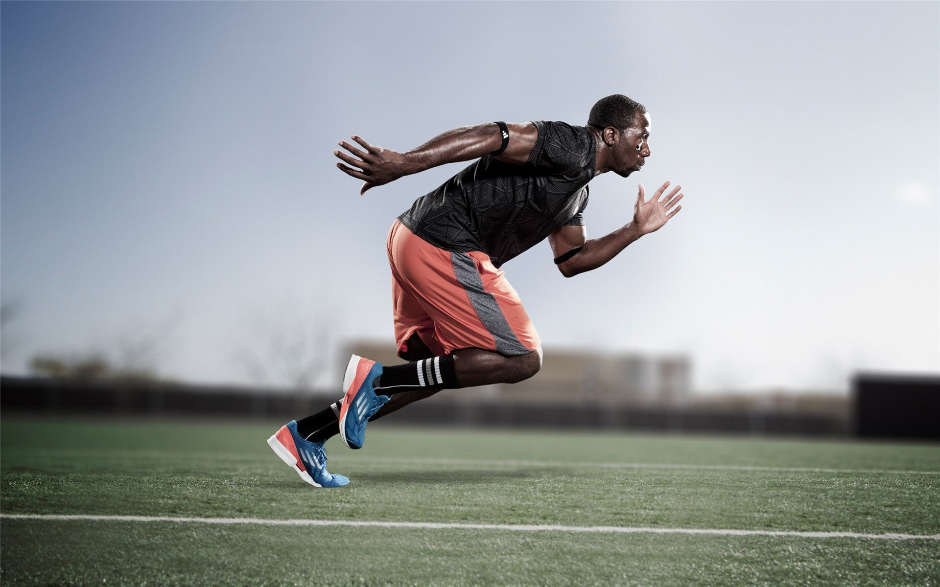 年度焦点之战，摩纳哥赛道，荷兰郁金香为何提前凋零？